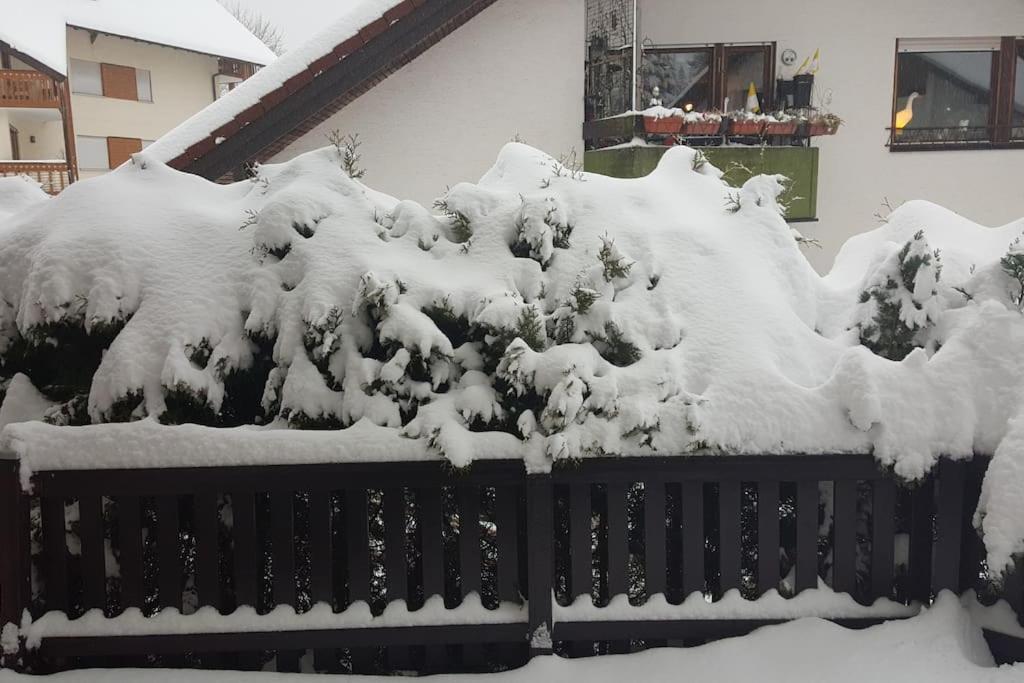 Fewo Zeus mit Terrasse, Grill,Garage,Netflix Todtmoos Exterior foto